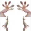 paws gecko